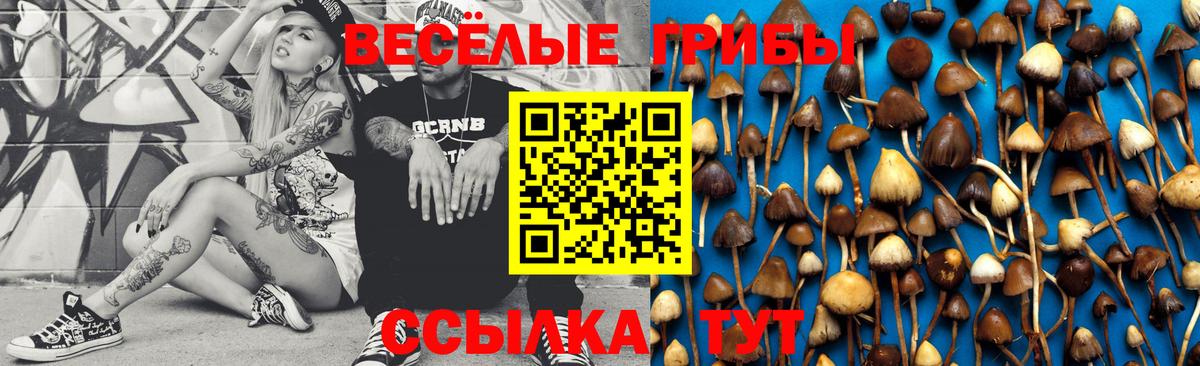 Ейск  Псилоцибиновые грибы Psilocybine cubensis  Вход с VPN  Галлюциногенные грибы Psilocybine cubensis 