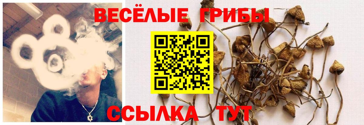 Псилоцибиновые грибы ЛСД Ейск